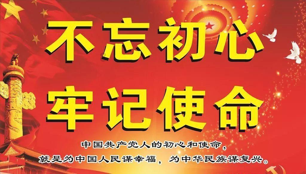 救援受困的小野猫